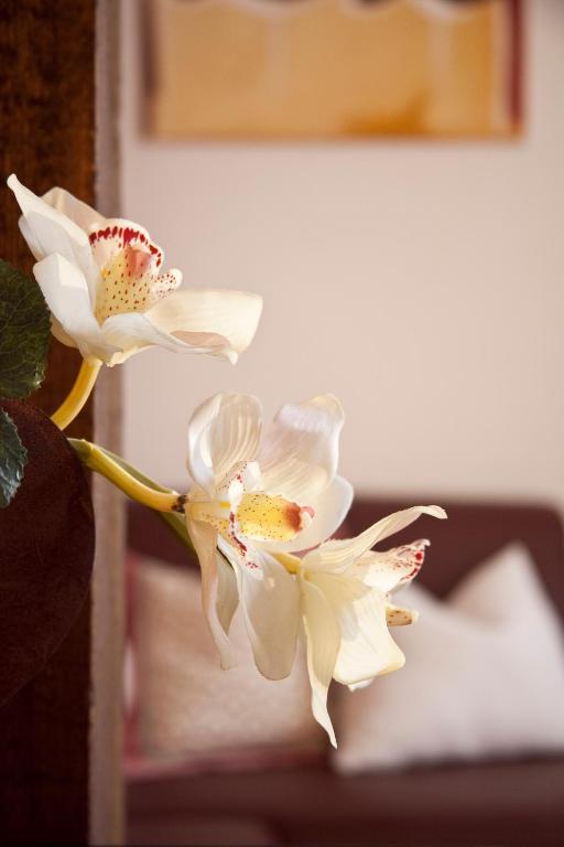 Appartements Fliana Mathon/이스크글 객실 사진